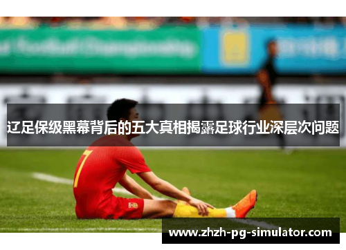 辽足保级黑幕背后的五大真相揭露足球行业深层次问题 辽足保级黑幕背后的五大真相揭露足球行业深层次问题